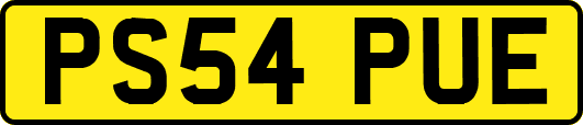 PS54PUE