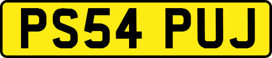 PS54PUJ