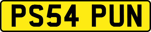 PS54PUN