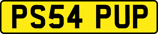 PS54PUP