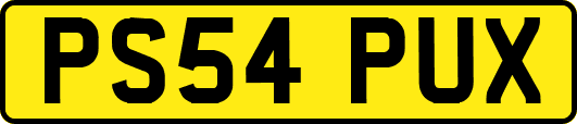 PS54PUX