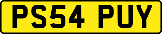 PS54PUY