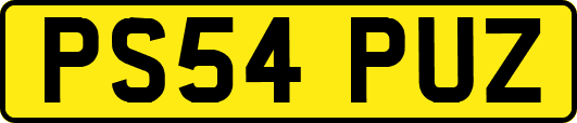 PS54PUZ