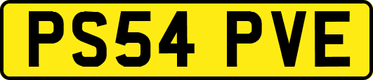 PS54PVE