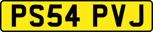 PS54PVJ