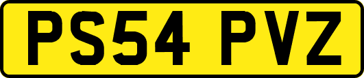 PS54PVZ