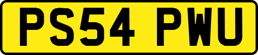 PS54PWU