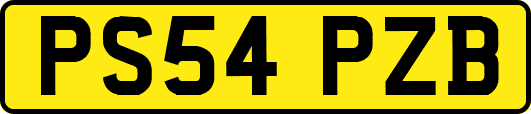 PS54PZB