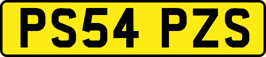 PS54PZS