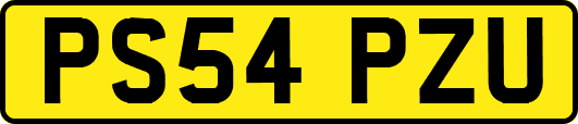 PS54PZU