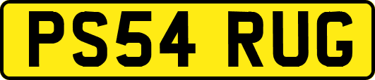 PS54RUG