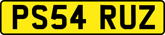 PS54RUZ