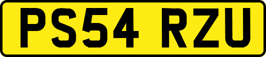 PS54RZU