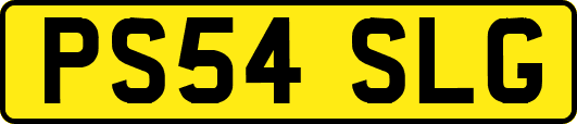 PS54SLG