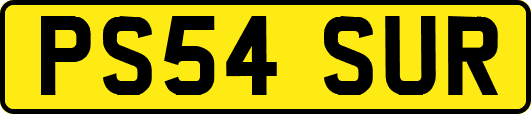 PS54SUR