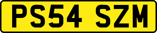PS54SZM