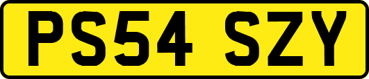 PS54SZY