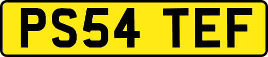 PS54TEF