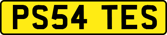 PS54TES