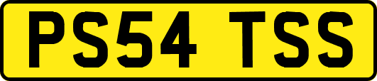 PS54TSS