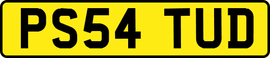 PS54TUD