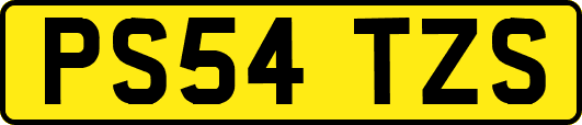 PS54TZS