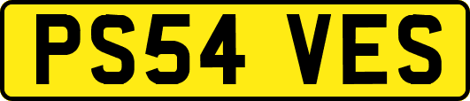 PS54VES