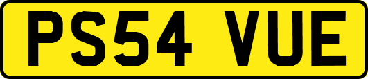 PS54VUE