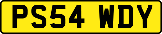 PS54WDY