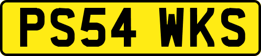 PS54WKS