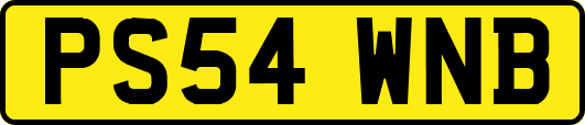 PS54WNB