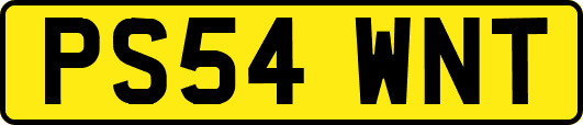 PS54WNT