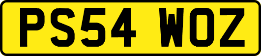 PS54WOZ