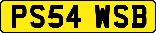 PS54WSB