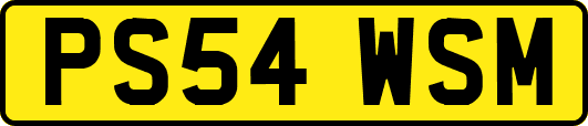 PS54WSM