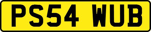 PS54WUB