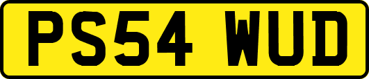 PS54WUD