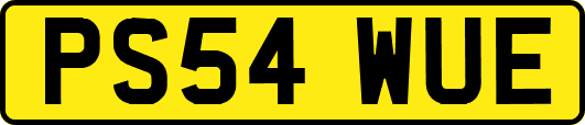 PS54WUE
