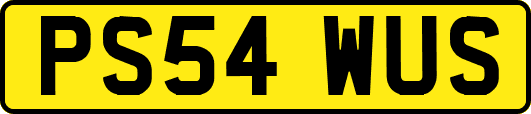 PS54WUS