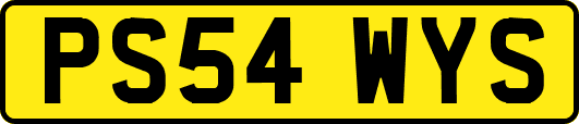 PS54WYS