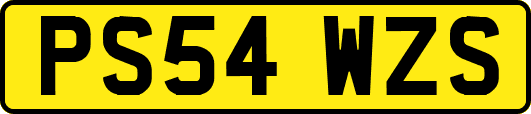 PS54WZS