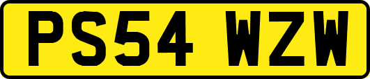 PS54WZW