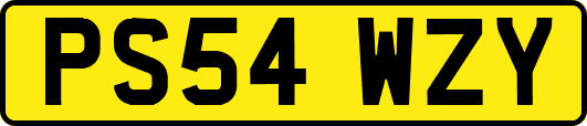 PS54WZY