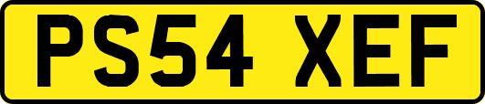 PS54XEF