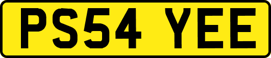 PS54YEE