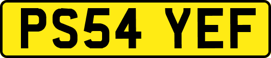 PS54YEF