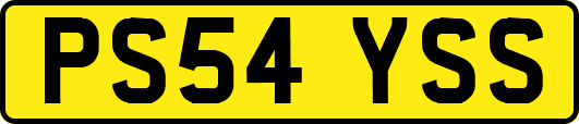 PS54YSS