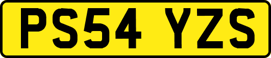 PS54YZS