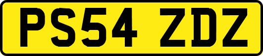 PS54ZDZ