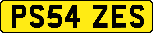 PS54ZES
